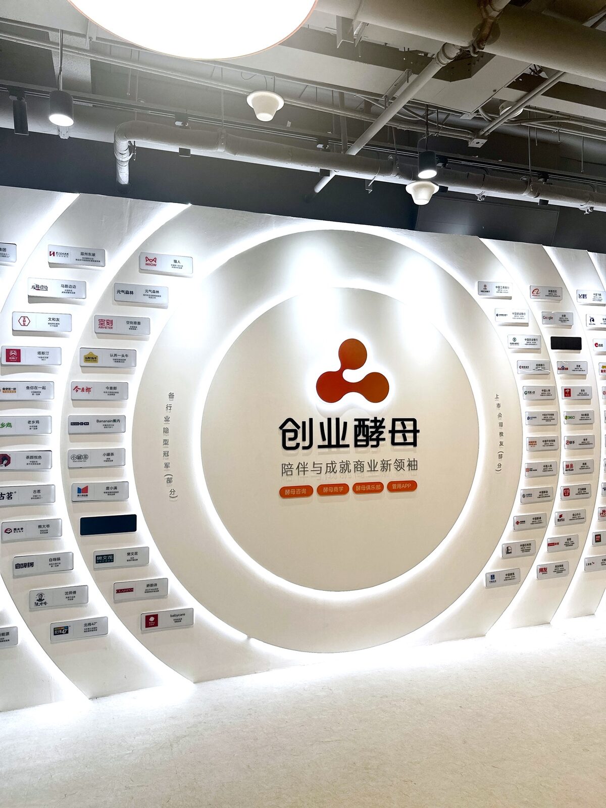 创业酵母企业文化墙项目实拍 · 燃点跳动